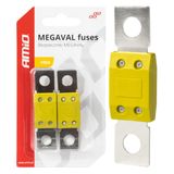 Car MEGAVAL fuses 100A AMIO-03463