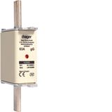 NH fuse NH1 gG 690V 63A with twin indicator and live gripping lug