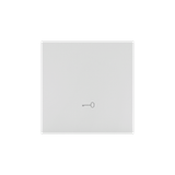 Single button with pictogram for switches and push buttons, light gray matt