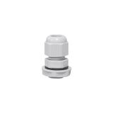 Pg-29 Stuffing Box