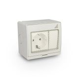 Single Schuko socket + single surface-mounted switch GPSWPN IP55 "AQUA55"