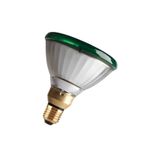 PAR38 E27 240V 80W Flood Green