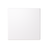 6-switch rockers, blank