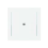 LFS/A.1.70.1-44M Cover plate with legend with Symbol "scene" studio white matt - Trevion®