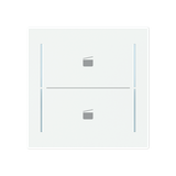 LFST/A.2.70.1-44M Cover plate with legend with Symbol "scene" studio white matt - Trevion®
