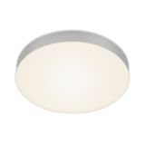 frameless LED surface light, silver, 1xLED-platine/21W