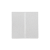 Double button for switches and push buttons, matt aluminum