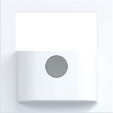 Cover with button for motion detector, A.x/C.x light white glossy
