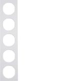 Frame 5gang, R.3, p. white glossy
