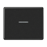 1-gang rocker with transparent lens