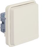 Earthed socket, W.1, polar white