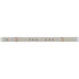 FS 80, RGB+CLW, Ra90, 20W/m, 24VDC, IP44, l=5m
