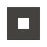 Cover plate USB charger