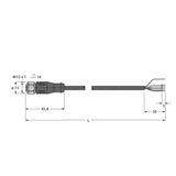 Actuator and Sensor Cable, PUR Connection Cable   RKSV4.4T-10/TXL
