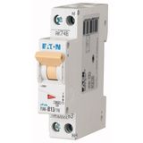 Miniature circuit breaker (MCB), 13 A, 1p+N, characteristic: B