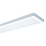 NAOS 1.5ft 4000/840s IP20