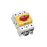 CAPUS Panel - Switch-disconnector 3 pole, 125A