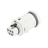 DEVICE CONNECTOR RST20I5SXS1 M00V GL