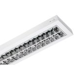 LUXOR LED 1.2ft 1600/840 DALI IP20