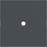 Central plate for switch/push button with pull handle, A.x/C.x, anthracite.