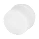 White lens for projecting push-button