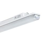 INNOVA 1.4ft NB PC 6400/840 1x5P DALI Luminaire LED 1x6400 lm 43W IP66