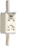 NH fuse insert SPEEDNH2,40A GG,500VAC LNH2040T