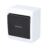 GALATEA Illuminated alternating switch No. 6So 10A 230V on plaster IP44 white/black