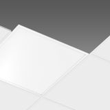 831 LED 24W CLD-D-D BIA VL IP65,VI IP20