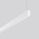Less is more 27, 51 W, 4000 lm, 840, white, DALI Pendant luminaires, L