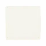COVER IP40 FOR BLO6CG/BL06P/BL06CGN