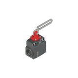 Safety switch with slotted hole lever