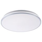 LINDEN LED 50W 3000-6500K 3478