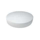 WHITE PLAFO LED 20W WW IP20 230V