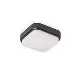 TARIS SQ 17 surface mounted black plastic 230V LED 8W IP54 3000K