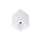 SQUARE OUT AR111 | WHITE