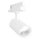 TR SP XR V 30W 930 24DEG WT FRUIT LEDV