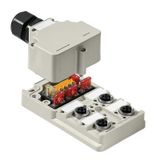 Hood version, M12, 30 V, T-coded, LED: Yes, LED initiator: Yes, Wiring type: PNP
