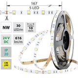 LED strip SMD5050 NW, 30LED/m, 8,5W/m, 616lm/m, IP20, DC 24V, 10mm, 5m