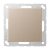 Blank centre plate A594-0CH