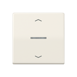 JUNG HOME push-button 1-gang with arrow BTAS17101P