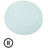 M22-XL-W-X2 Lens, indicator light white, flush, II
