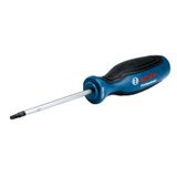 Screwdriver TX20X100