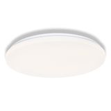CEILING ROUND SEN 36W 865 IP20 OSRAM