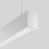 LINEDO single IP20, 31 W, 4850 lm, 840, aluminium, DALI Pendant lumina
