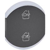 KEY COVER ON-OFF-GEN 2M GRAPH