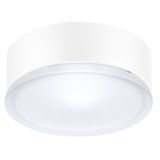 DROP 22 LED SMD 11W 4000K WIT