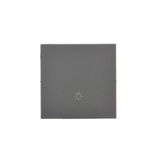 Single button for switches and push buttons, graphite mat