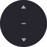 Shutter push-button, R.1/R.3/1930/R.cl., black glossy