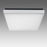 WHITE PLAFO LED 20W WW IP54 230V